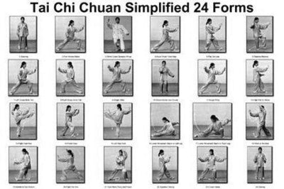 Tai Chi Chuan 24 Forms Black and White Metal Poster Choose Style The Poster Depot