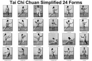 Tai Chi Chuan 24 Forms Poster Black and White Mini Poster 11"x17"