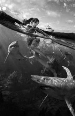 Tomb Raider Underworld poster tin sign Wall Art