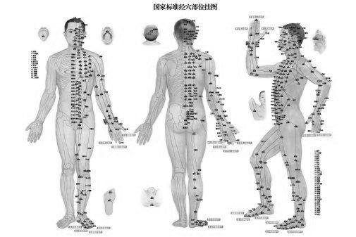 Acupuncture Poster Black and White Poster 16