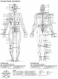Acupuncture Poster Black and White Mini Poster 11"x17"