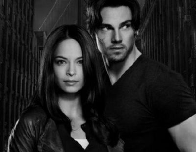 Beauty And The Beast poster tin sign Wall Art