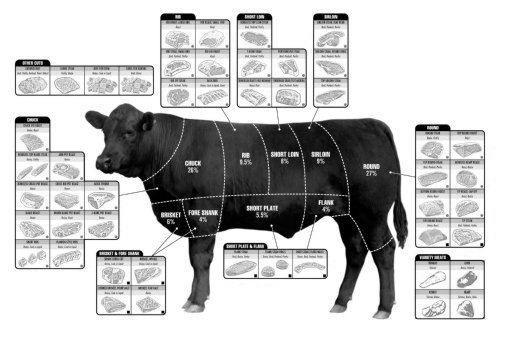 Beef Beef Cuts Culinary Black and White Poster Metal Print 12"x16"