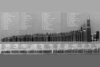 Bullet Caliber Comparison Chart black and white poster