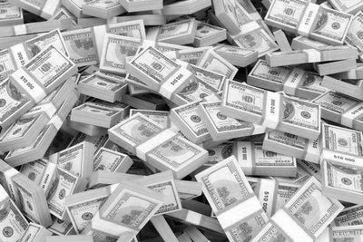 Cash Stacks Money Bundles Poster Black and White Poster 16x24 The Poster Depot