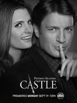 Castle Metal Poster Wall Art 8in x 12in 12"x16" Black and White The Poster Depot