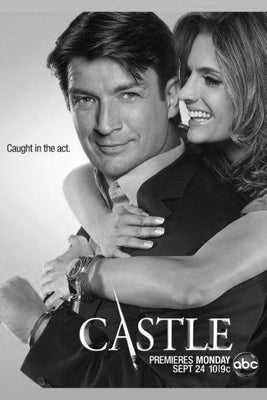 Castle Poster Black and White Mini Poster 11"x17"