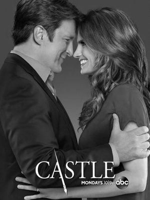 Castle poster tin sign Wall Art