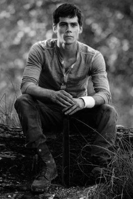 Dylan Obrien Metal Poster Wall Art 8in x 12in 12"x16" Black and White The Poster Depot
