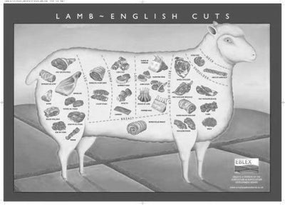 Culinary Poster Black and White Mini Poster 11"x17"