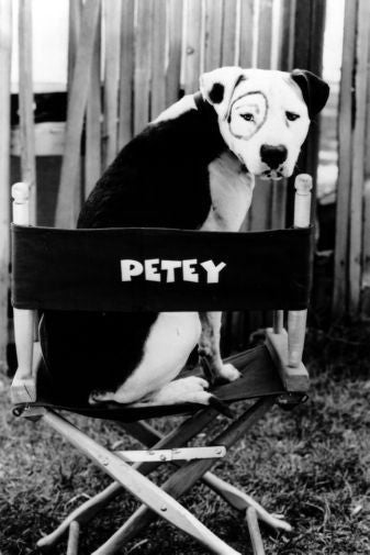 Little Rascals Petey Poster Black and White Mini Poster 11