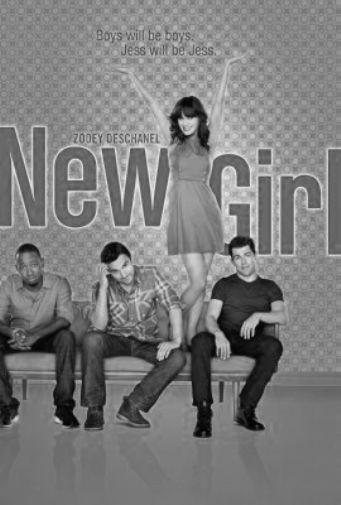 New Girl poster tin sign Wall Art