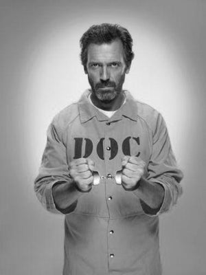 House black and white poster