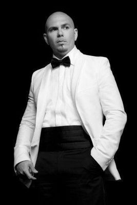 Pitbull Black and White Metal Poster Choose Style The Poster Depot