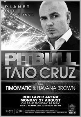 Pitbull black and white poster