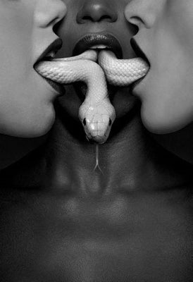 American Horror Story Black and White Poster 24x36 The Poster Depot