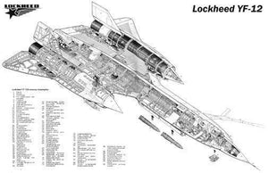 Yf-12 Cutaway black and white poster