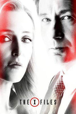The X-Files Poster 27inx40in Poster The Poster Depot