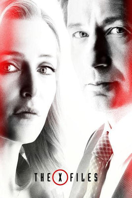 The X-Files Metal Poster Choose Style The Poster Depot