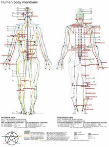 Acupuncture Poster 16"x24" On Sale The Poster Depot