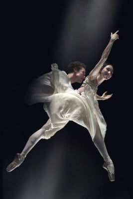American Ballet poster tin Metal Print Wall Art