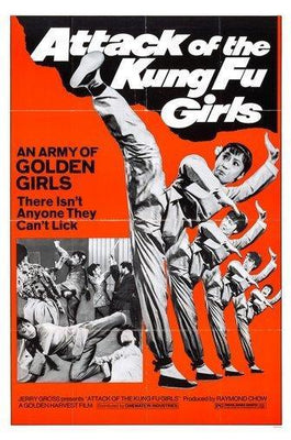 Attack Of The Kung Fu Girls Metal Print 8in x 12in