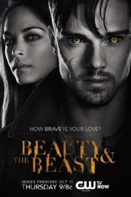 Beauty And The Beast Metal Poster Choose Style The Poster Depot