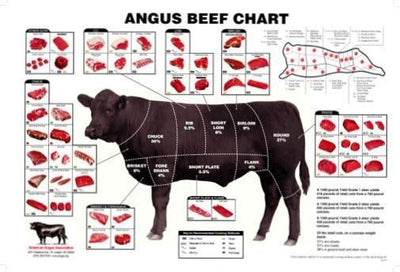 Angus Beef Chart Meat Cuts Diagram Kitchen Poster Metal Print 12"x16"