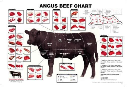 Angus Beef Chart Meat Cuts Diagram Kitchen Poster Metal Print 12