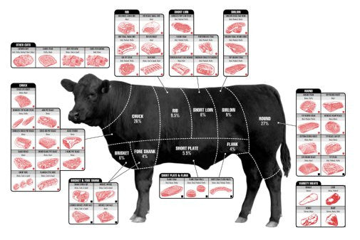 Beef Cuts Of Meat Butcher Chart Diagram poster The Poster Depot