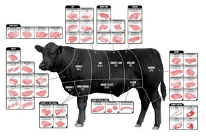 Beef Cuts Of Meat Butcher Chart Cattle Diagram poster 27x40| theposterdepot.com