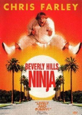 Beverly Hills Ninja Poster 16inx24in - Fame Collectibles
