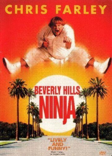 Beverly Hills Ninja Photo Sign 8in x 12in