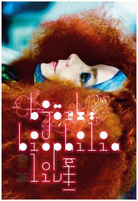 Bjork poster tin sign Wall Art