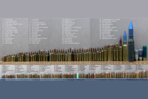 Bullet Caliber Comparison Chart poster The Poster Depot