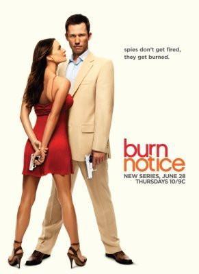 Burn Notice poster tin sign Wall Art