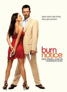 Burn Notice Poster 16"x24" On Sale The Poster Depot