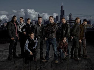 Chicago Pd Poster 27inx40in The Poster Depot