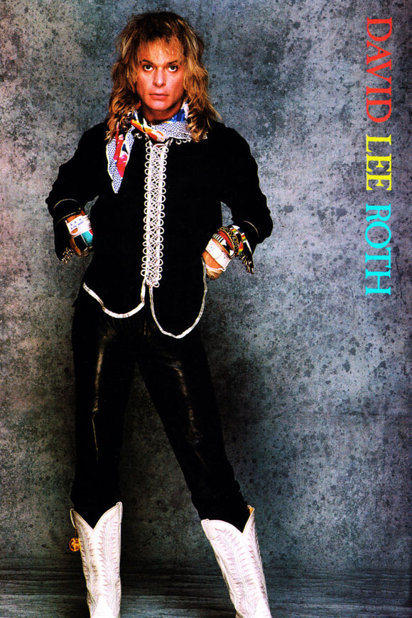 david lee roth Poster 24x36 The Poster Depot 24