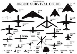 Drones Identification Chart Poster 11x17 Mini Poster