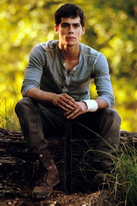 Dylan Obrien Poster 16"x24" On Sale The Poster Depot