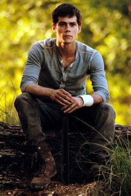 Dylan Obrien Metal Poster Choose Style The Poster Depot