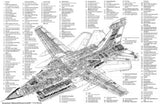 Ef 111 Raven Cutaway Poster Warbird Airplane 11x17 Mini Poster