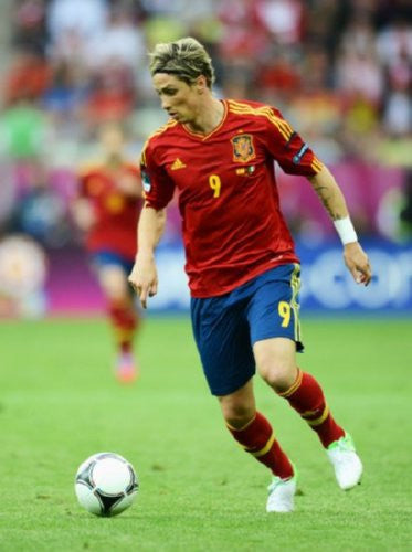 Fernando Torres Mini poster 11inx17in soccer futball
