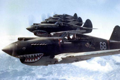 Flying Tigers 1942 Aircraft Metal Poster Wall Art 8in x 12in 12"x16" The Poster Depot