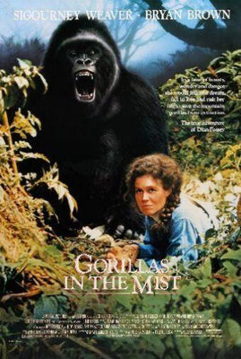 Gorillas In The Mist Metal Print 8in x 12in