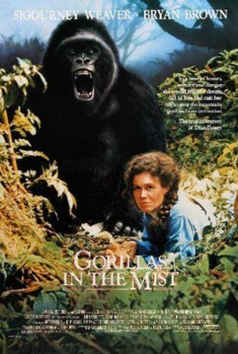 Gorillas In The Mist Metal Print 8in x 12in