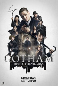 Gotham Mini poster 11inx17in
