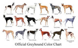 Dogs Greyhound Color Chart poster tin Metal Print Wall Art