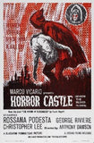 Horror Castle Poster 11inx17in